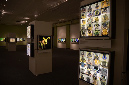 Wasp_exhibition__DSC3413